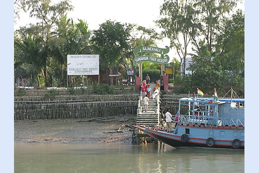 Viaggio in India 2008 - Sunderbans